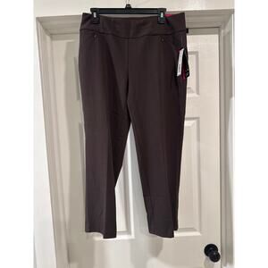 Investments the PARK AVE Fit Straight Leg Secret Support Brown Pants Size 10PS